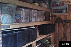 Organize